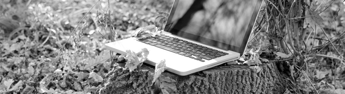 Working on laptop in forest Working on laptop in forest